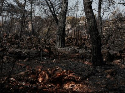 Incendies de l&rsquo;été : la facture réévaluée à 563 millions d&rsquo;euros, où en sont les indemnisations