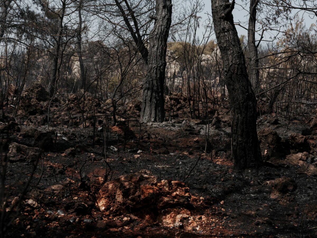 Incendies de l'été : la facture réévaluée à 563 millions d'euros, où en sont les indemnisations